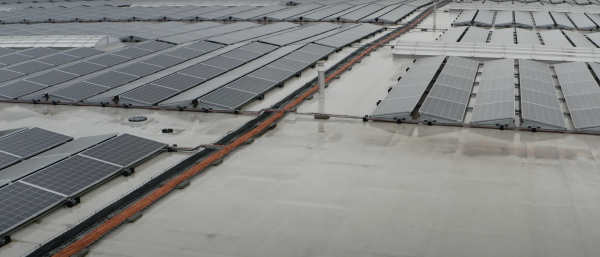 atkore vergokan vgp park