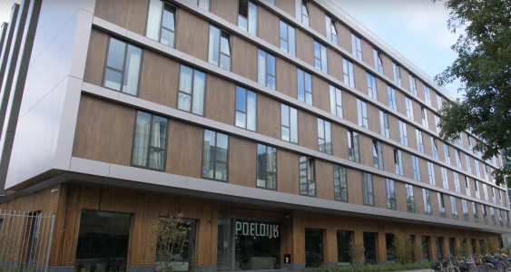 carl stahl green walls poeldijkstraat amsterdam