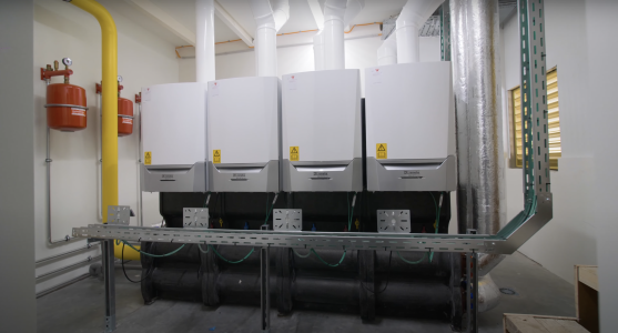 de roeve aquatopia zwembad aalst