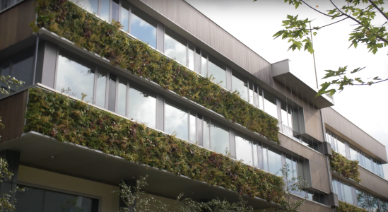 moso waterschap limburg