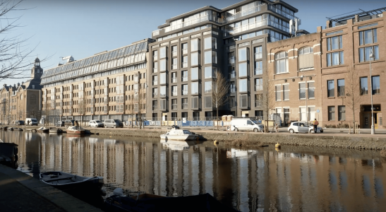 de hooch mvsa architects