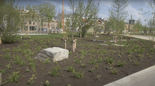 merreco nv top puurs mulch gedempte zuiderdokken antwerpen