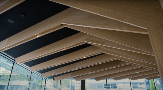 moso bamboe vloeren wanden plafonds echo delft