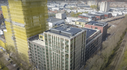 osh dubotechniek ananas leiden