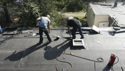 derbigum nederland center parcs het meerdal daken toplaag