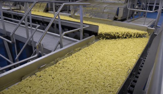 tummers food processing solutions aviko poperinge frietlijn
