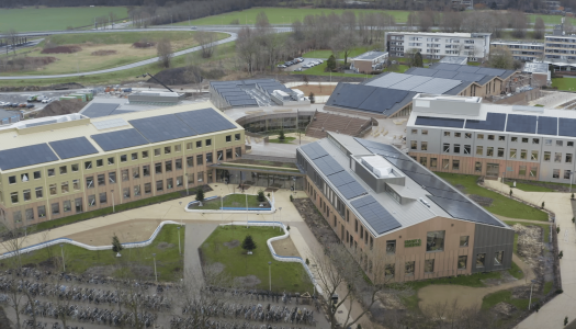 vo eemsdelta appingedam