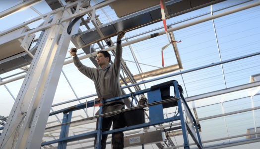 mj tech henda flowers