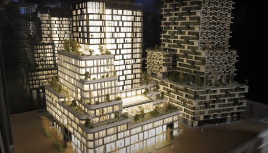 mvsa provada rai amsterdam