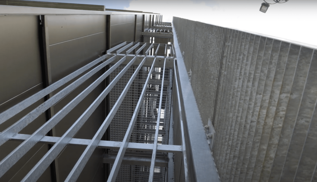 staco leuven roosters