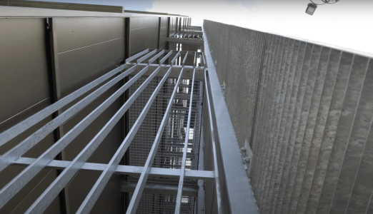 staco leuven roosters