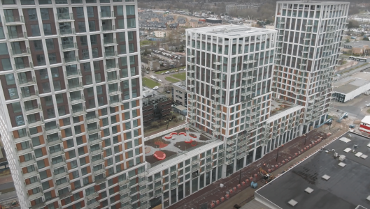 van der tol het dok amsterdam daktuinen