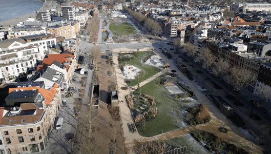 van den berk boomkwekerijen antwerpen gedempte zuiderdokken