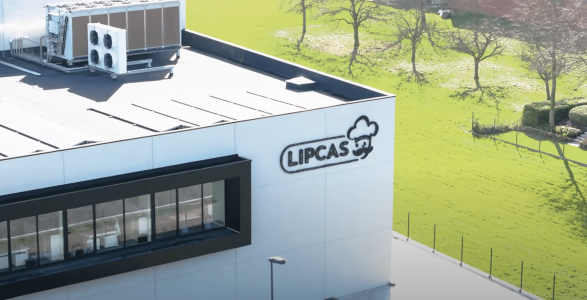 lipcas zwevezele asab