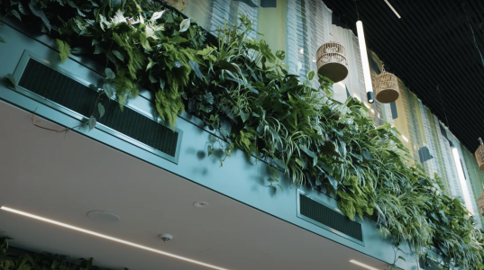 sempergreen theater aan de parade