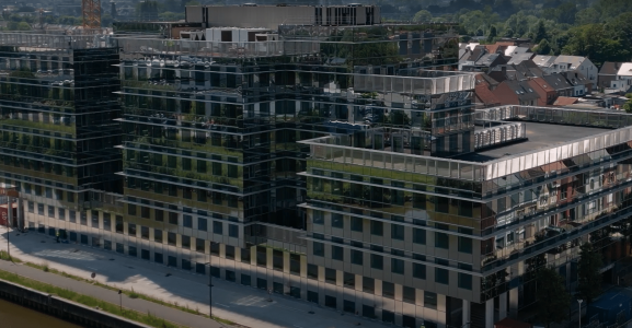 polypane jan de nul aalst