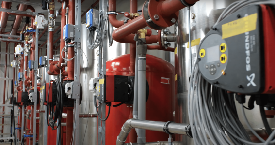 pranger-rosier de welle drachten