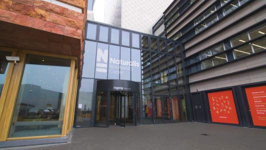 boon edam naturalis leiden