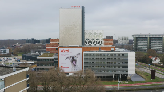 aras security naturalis