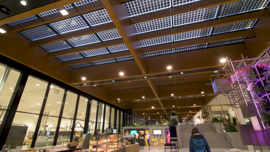 br controls unilever