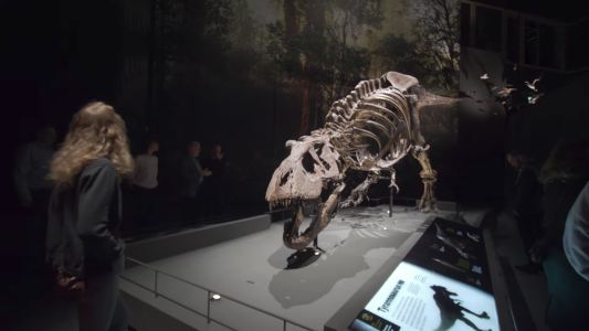 elbo technology naturalis leiden