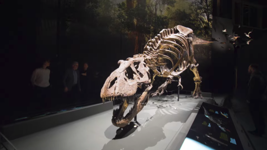 fss international naturalis leiden