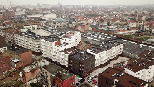 sayin's compas anderlecht