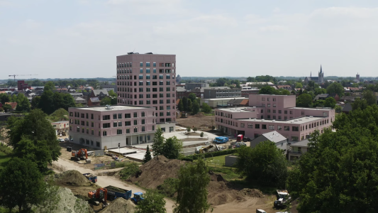 hooyberghs astor klein veldekens geel