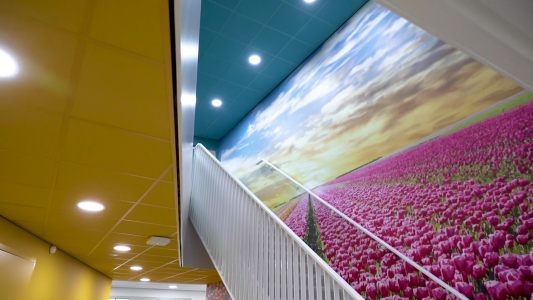 eurocoustic terra college systeemplafonds