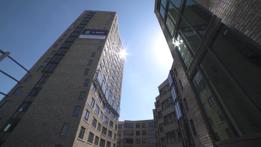 de man bv de pauwmolen toren delft