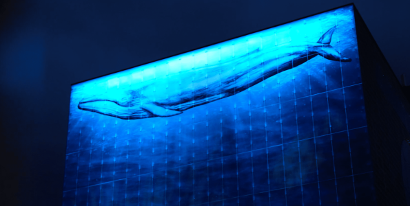 Pilkington - Piispantorni