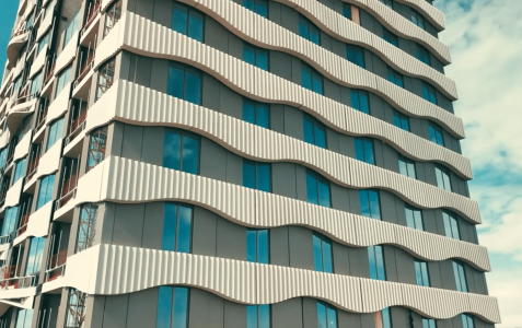 Baak Groep - The ensemble