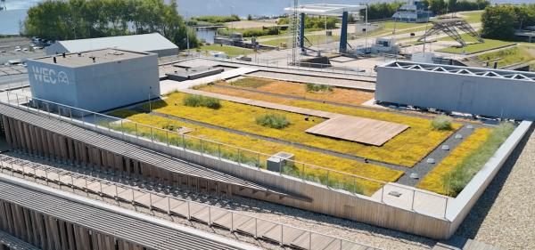 Derbigum - WEC Waddenzee