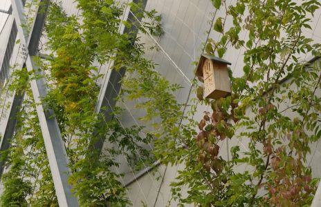 Vogelhuis op metalen gevel met planten