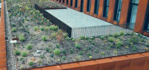 Modern gebouw met groene daktuin en hek.