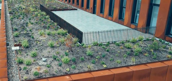 Modern gebouw met groene daktuin en hek.